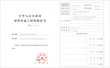 Chinese Government and Foreign International Contracting Project Qualifications